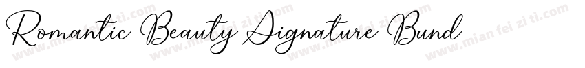 Romantic Beauty Signature Bundle字体转换